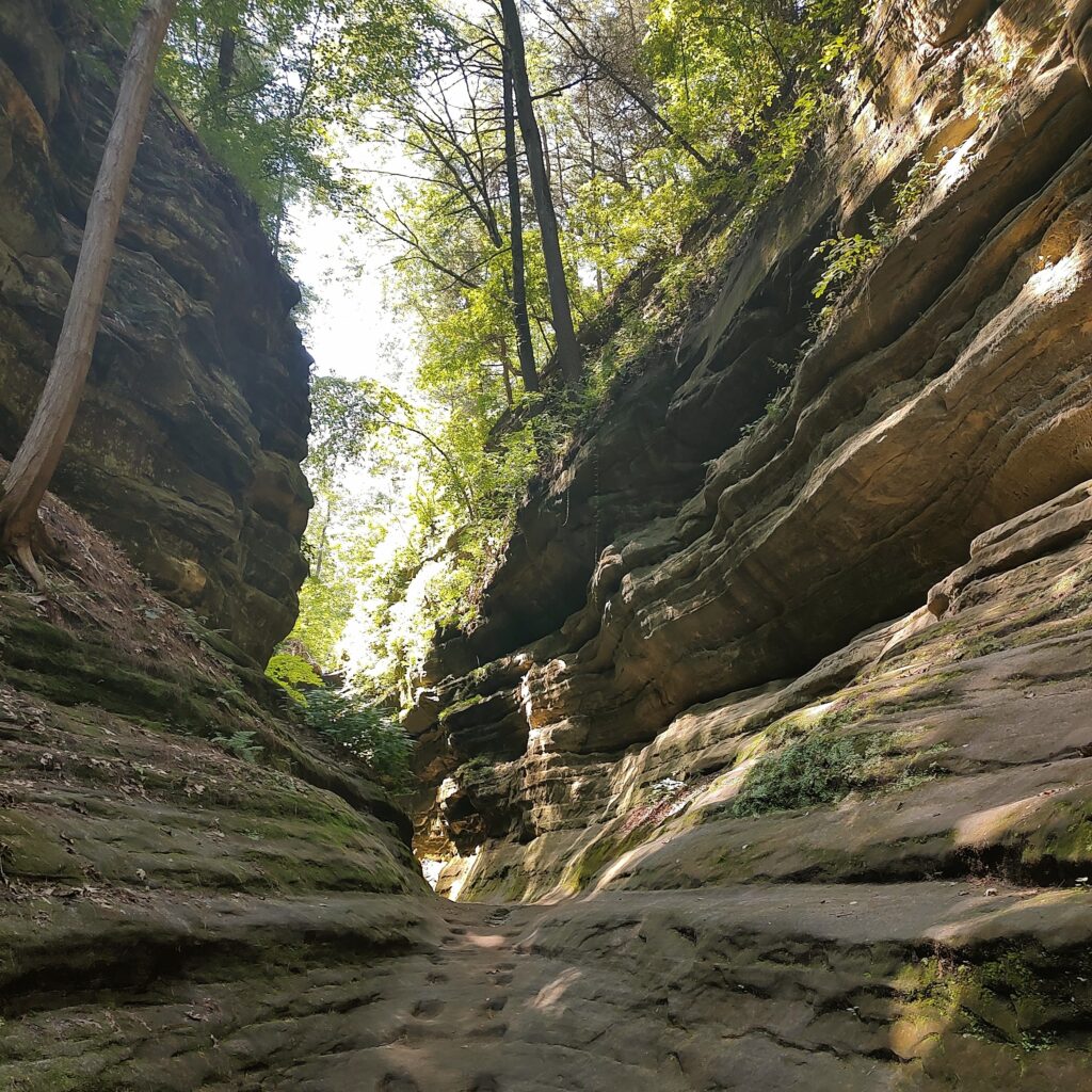 mage 2 (Sandstone Canyon)

Title: sandstone canyon at starved rock
Caption: Marveling at the park’s iconic sandstone canyons carved by time.
Alt Text: sandstone canyon walls with greenery at starved rock state park
Description: Tall sandstone canyon walls covered in moss and foliage, showcasing the park’s unique geology and tranquil atmosphere.